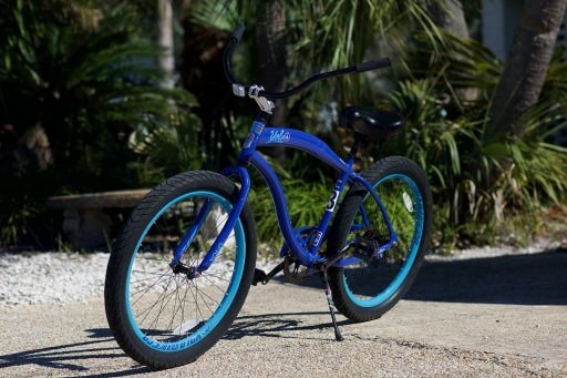 Blue sales beach bike